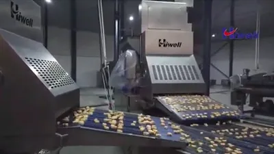 Ligne de Production Automatique de Nuggets de Poisson & Poulet